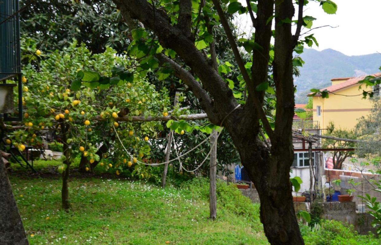 Apartament Casaventre Vietri Zewnętrze zdjęcie